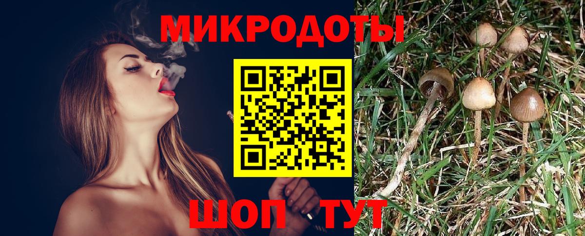 Псилоцибиновые грибы Cubensis  купить закладку  Артёмовский  Вход с VPN 